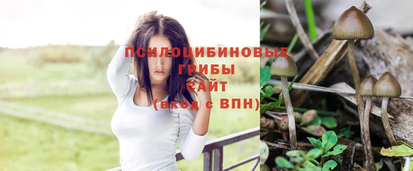 соль курить ск Белокуриха