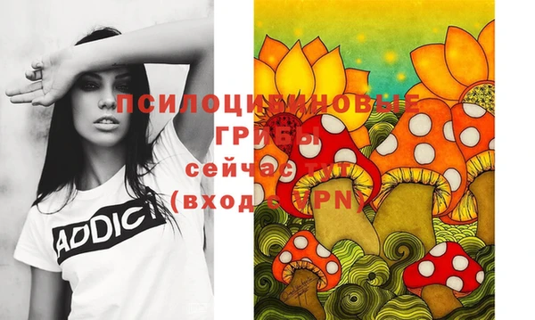 тгк Беломорск