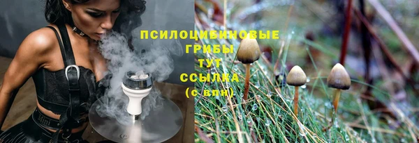 ALPHA PVP Саяногорск